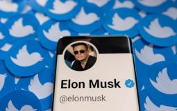 Elon Musk là CEO của Twitter